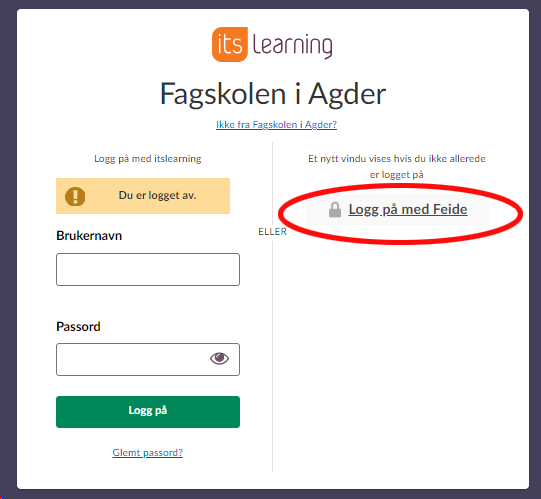 feidepålogging - Klikk for stort bilde